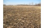 Property photo 9 - 44 Acres Offered in 3 Tracts